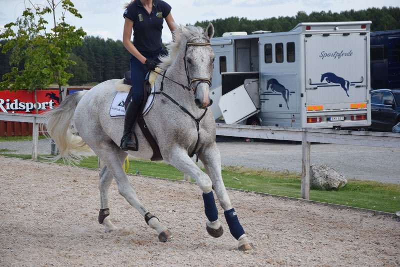 Här är en hoppövning där du får träna på att rida din häst i en så jämn galopp som möjligt. Foto: Jennifer Åström